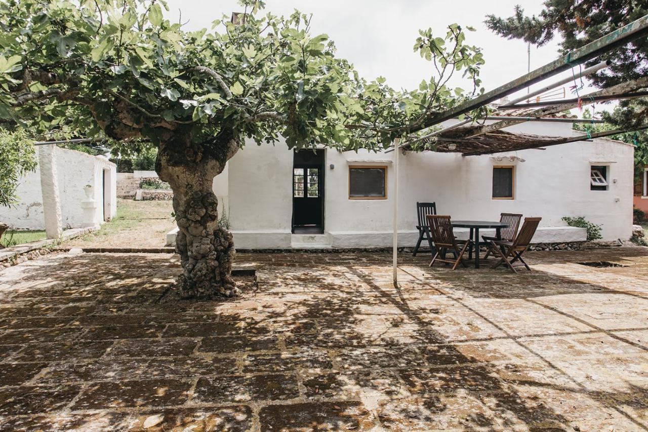 Agroturismo Son Triay Ferreries Zewnętrze zdjęcie